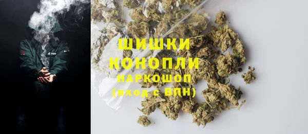 гашик Мегион
