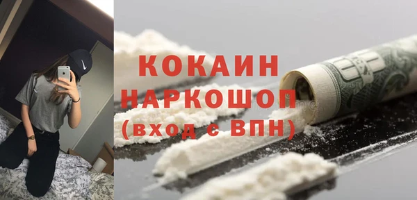 МДПВ Новозыбков