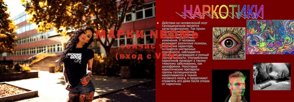 гашик Мегион