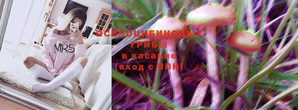герыч Медногорск