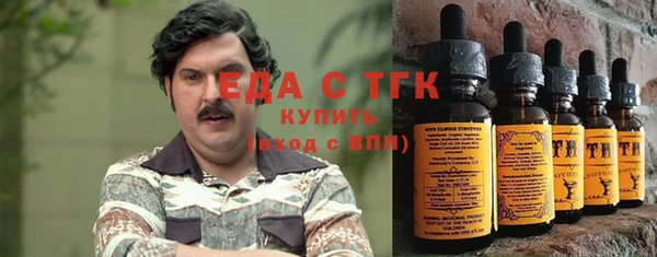 гашик Мегион