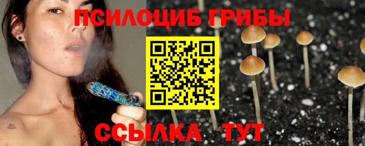 Отрадное  закладки  Вход с VPN  Псилоцибиновые грибы GOLDEN TEACHER 